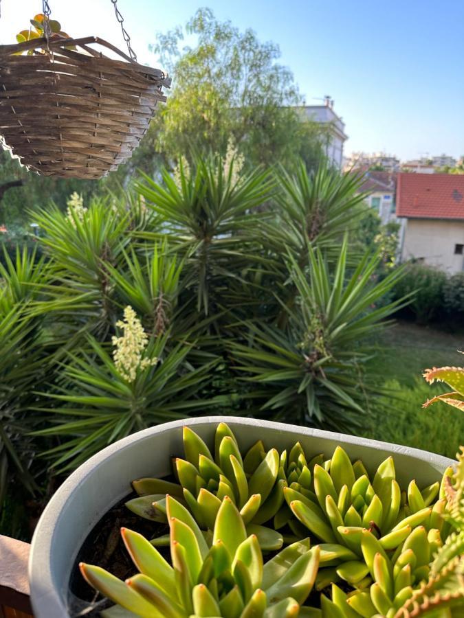 Location De Chambre Privee Dans Residence Prive, Jardins Et Parking Gratuit 1 Min To Tramway Et 9 Min De Centre-Ville, Accessibilite A Plusieurs Transports Nice Extérieur photo